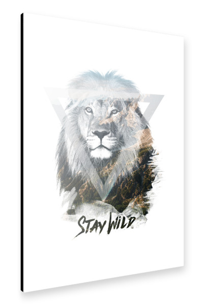 Alu-Dibond "Löwe - Stay Wild" 30x20 cm artboxONE