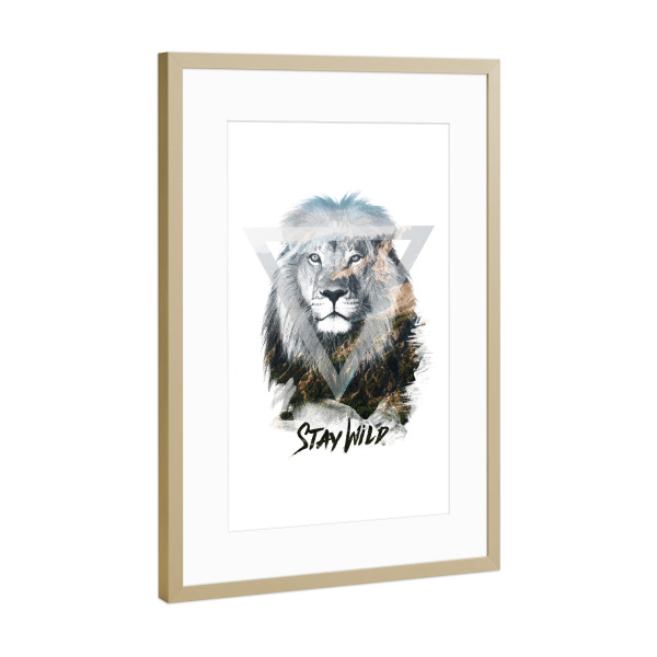 Poster mit Rahmen Gold "Löwe - Stay Wild" artboxONE - Tiere - Löwe,Bleib wild,Berge,Frei,Landschaft,Dreieck,Brüllen,Brüllen