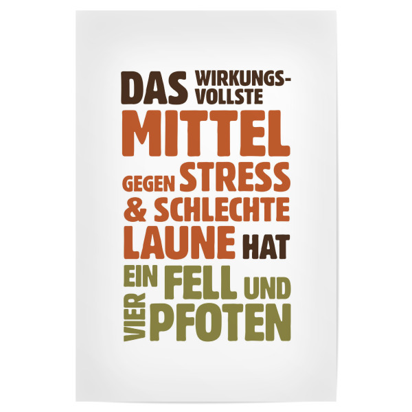 Poster "Das wirkungsvollste Mittel gegen Stress" artboxONE - Typografie - Katze,Hund,Stress,Gute laune,Haustier,Gegenmittel,Spruch,Typografie,Zitat