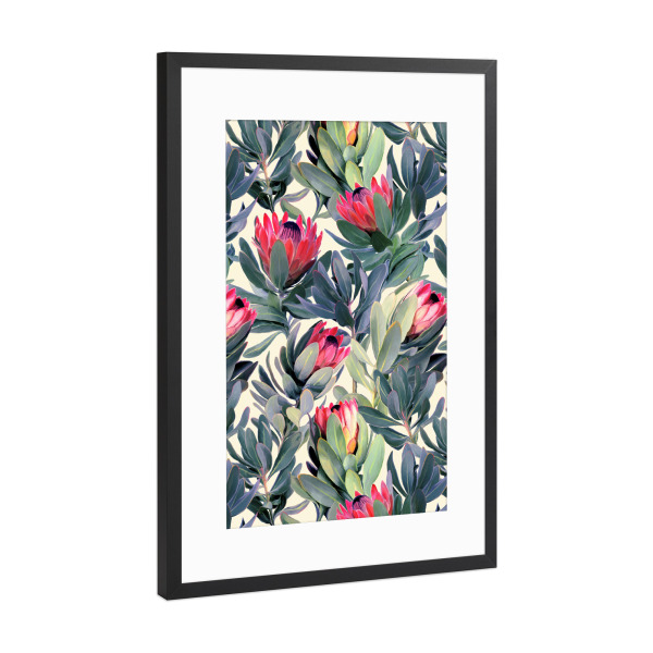 Poster mit Rahmen Schwarz (Metallic) "Protea" artboxONE - Natur,Floral - Floral,Blume,Blüte,Protea,Planze