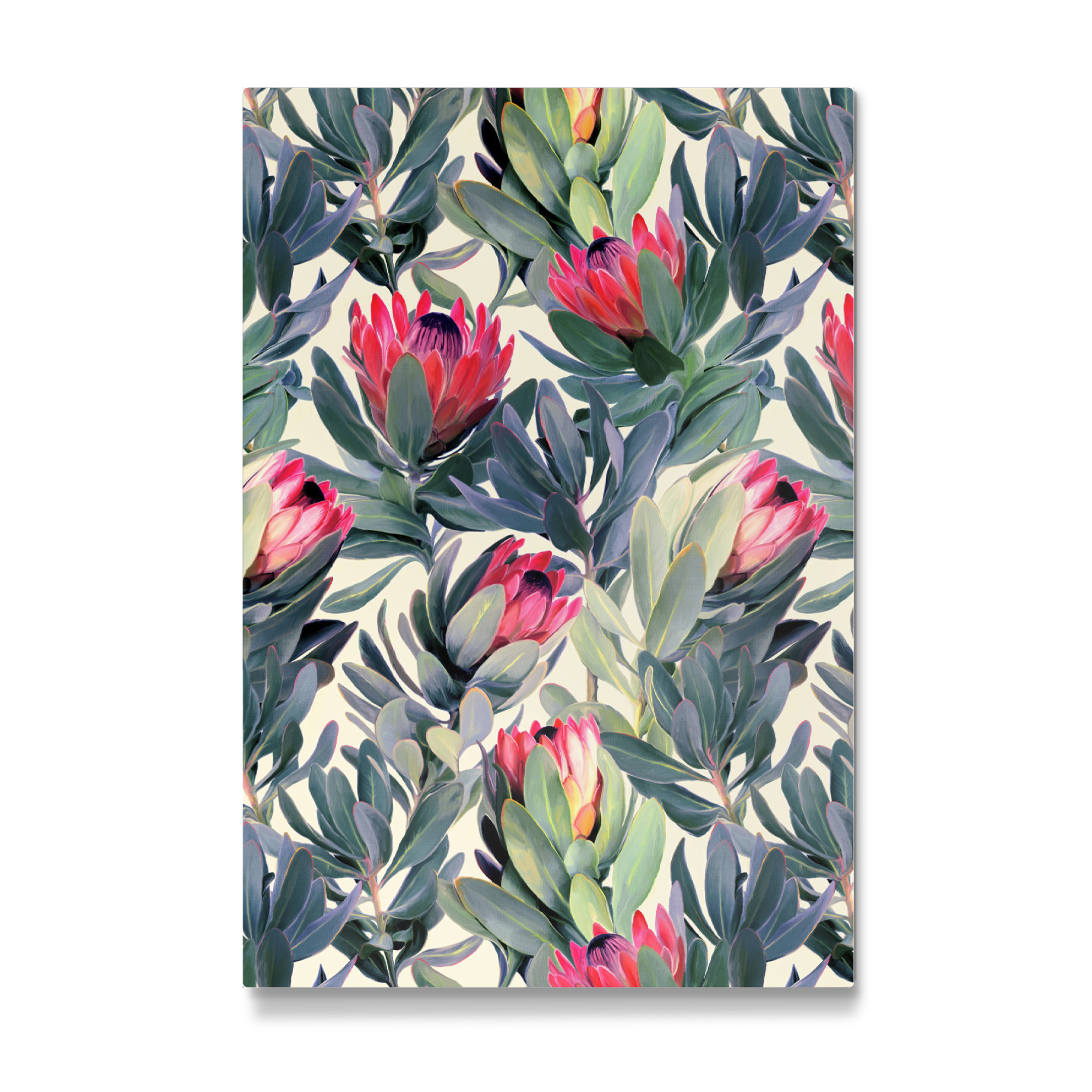 Galerie-Print "Protea" 75x50 cm artboxONE