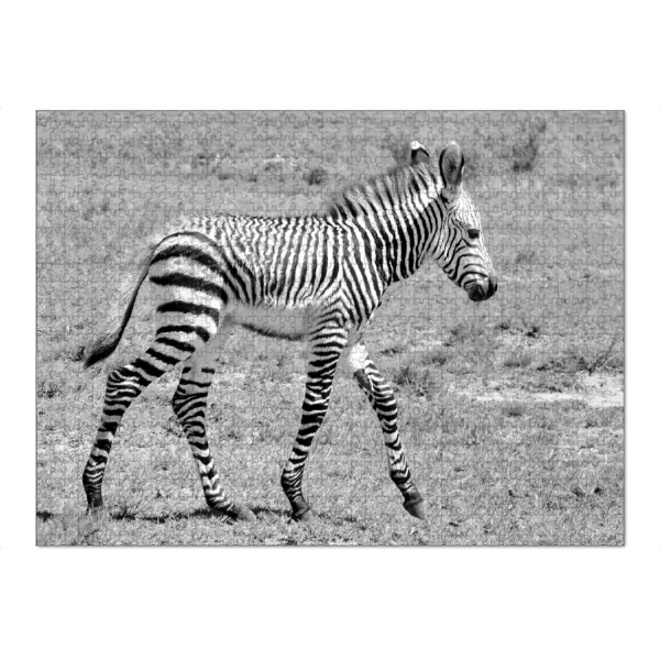 Puzzle Ravensburger "Zebra Baby sw 1050059" artboxONE - Tiere,Schwarzweiß