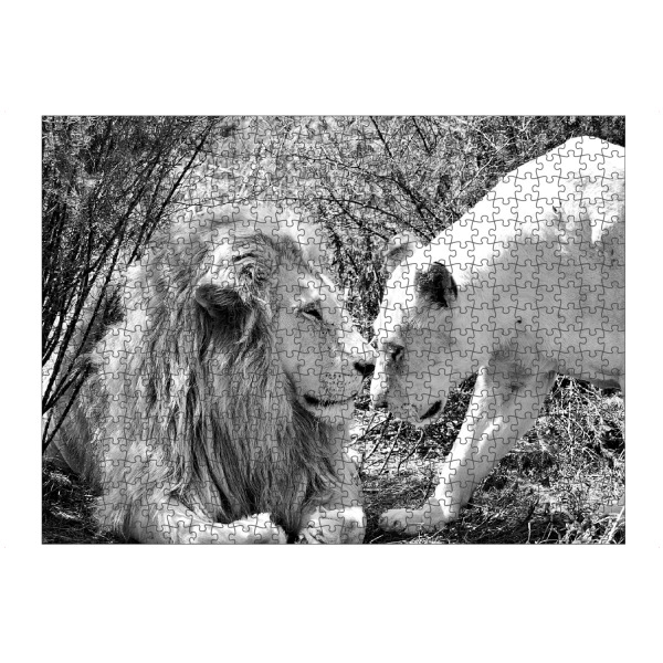 Puzzle Ravensburger "Lion Love sw 3330" artboxONE - Tiere,Schwarzweiß