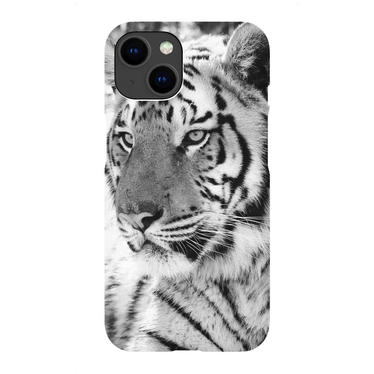 "Tiger Portrait 2651"für iPhone - Premium-Case Handyhülle artboxONE