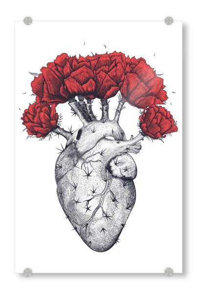 Acrylglasbild "Cactus heart 2" artboxONE - Natur,Floral,Menschen,Schwarzweiß