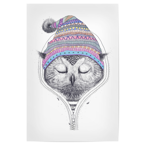Poster "Owl in a hood" artboxONE - Natur,Tiere