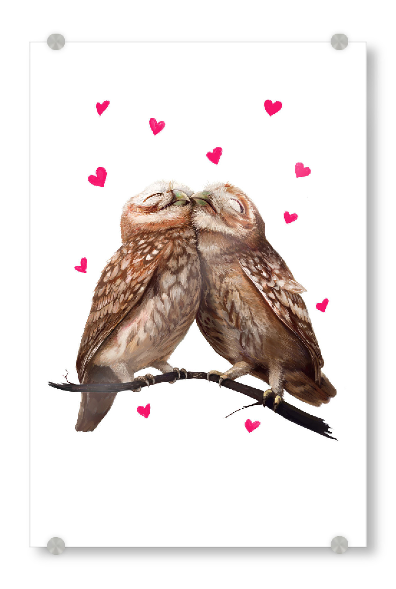 Acrylglasbild "Lovely owls" artboxONE - Natur,Tiere