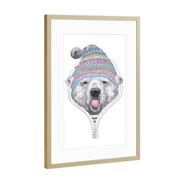 Poster mit Rahmen Gold "Bear in a hood" artboxONE - Tiere,Schwarzweiß
