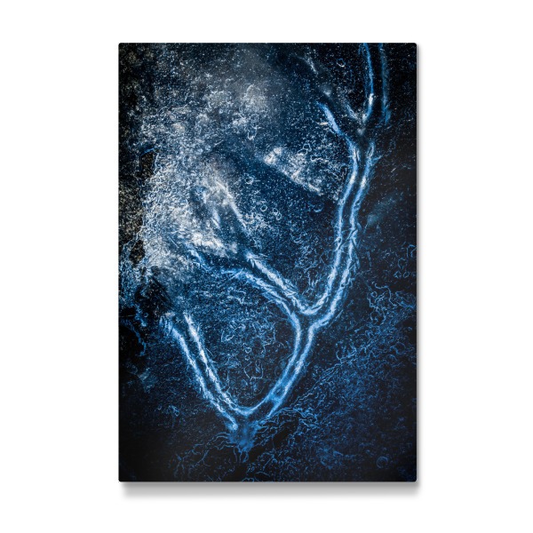 Galerie-Print "Eiszweig I" 30x20 cm artboxONE
