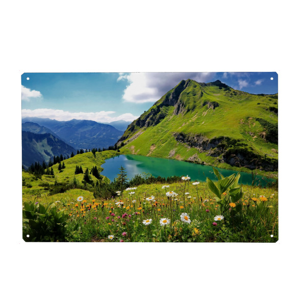 Metall Poster "Seealpsee" artboxONE - Natur,Floral