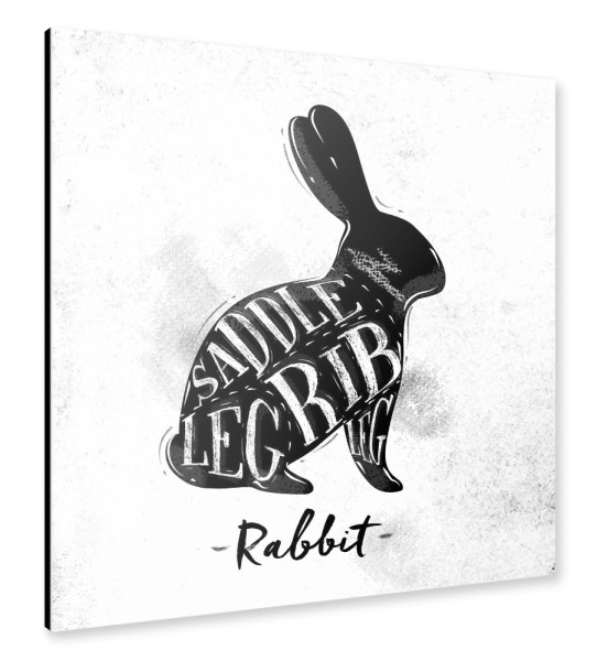 Alu-Dibond "Kaninchen" 30x30 cm artboxONE