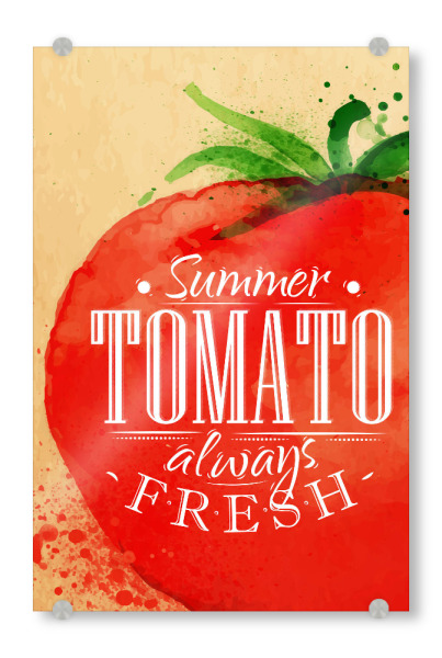 Acrylglasbild "Tomate Aquarell" artboxONE - Essen & Trinken