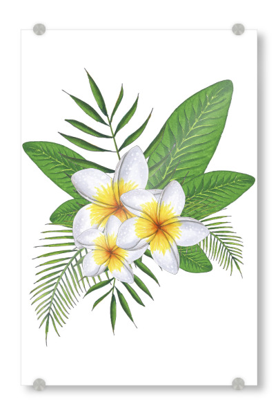 Acrylglasbild "Tropical Flower" artboxONE - Typografie,Natur,Floral