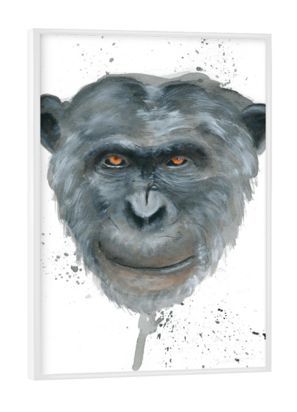Poster mit weißem Rahmen "My other brothers mind" artboxONE - Tiere - Affe,Gesicht,Affe,Schimpanse,Verwandter,Tier,Zoo,Zuneigung,Gorilla