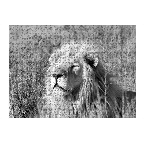 artboxONE Puzzle "Löwe Hypnose sw 763" artboxONE - Tiere,Schwarzweiß