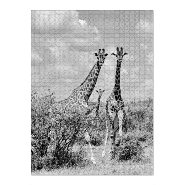 Puzzle Ravensburger "Giraffen sw 1446" artboxONE - Tiere,Schwarzweiß