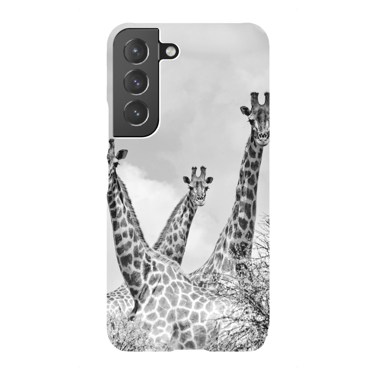 "Giraffen Treffen sw 1360"für Samsung Galaxy - Premium-Case Handyhülle artboxONE