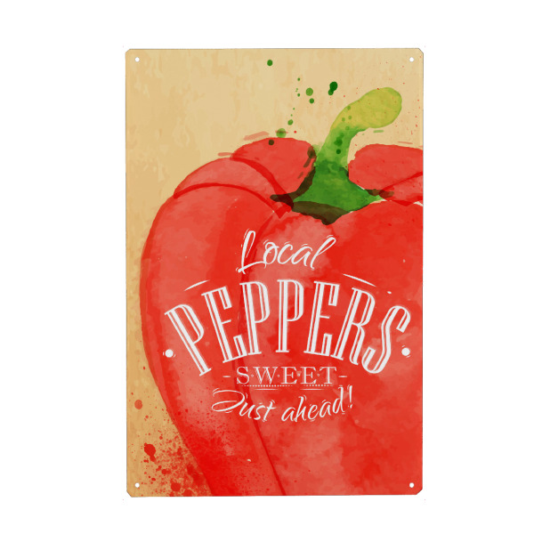 Metall Poster "Paprika" artboxONE - Essen & Trinken