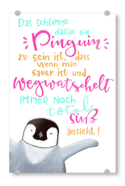 Acrylglasbild "Pinguine" artboxONE - Typografie,Tiere