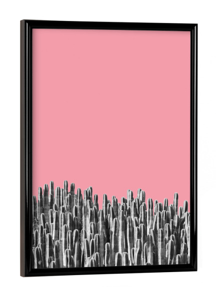 Poster mit schwarzem Rahmen "Cacti 02" artboxONE - Natur,Floral