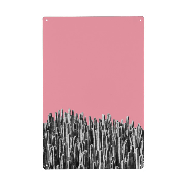 Holzbild "Cacti 02" artboxONE - Natur,Floral