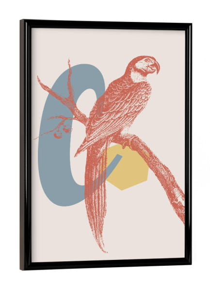 Poster mit schwarzem Rahmen "C - Alphabet" artboxONE - Typografie,Floral,Für Kinder,Abstrakt