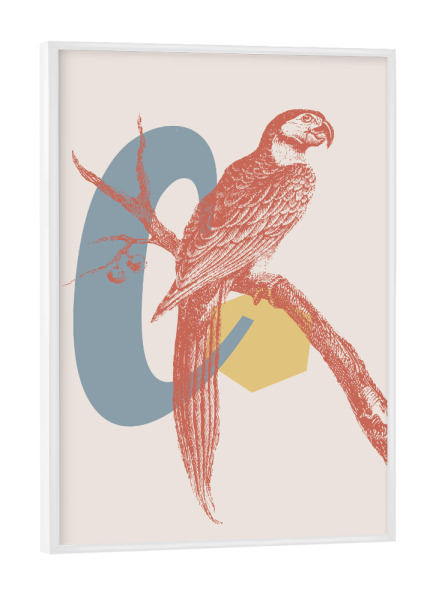 Poster mit weißem Rahmen "C - Alphabet" artboxONE - Typografie,Floral,Für Kinder,Abstrakt