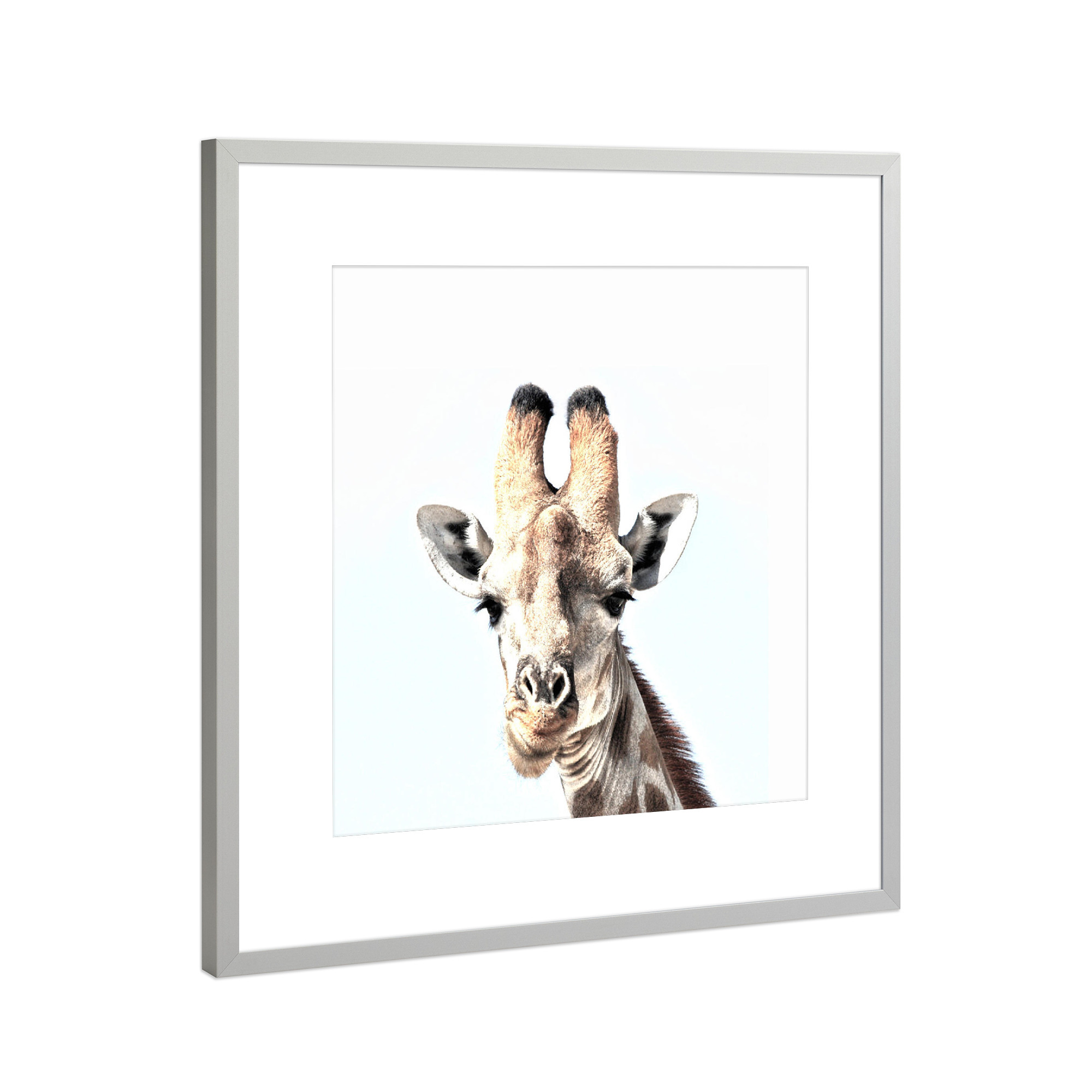 Poster mit Rahmen Silber "Hey, there!" artboxONE - Tiere - Photography,Digital,Manipulation,Photoshop,Giraffe,Animals,Tier,Giraffe,Lachen,Süss