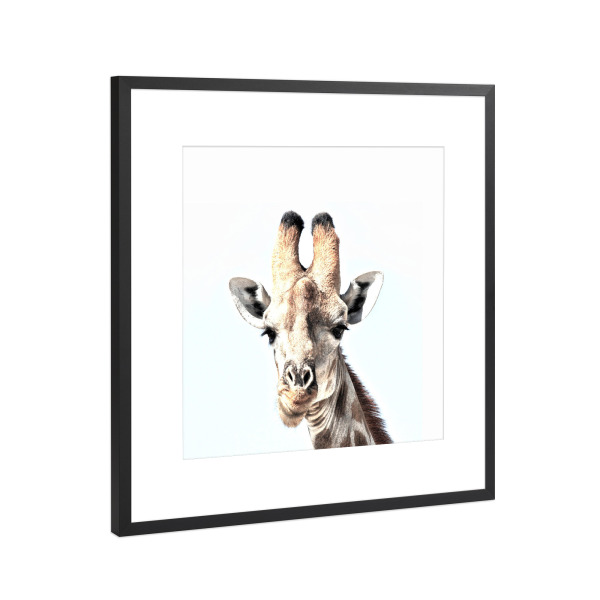 Poster mit Rahmen Schwarz (Metallic) "Hey, there!" artboxONE - Tiere