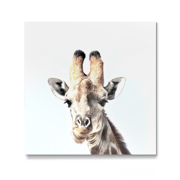 Galerie-Print "Hey, there!" 30x30 cm artboxONE