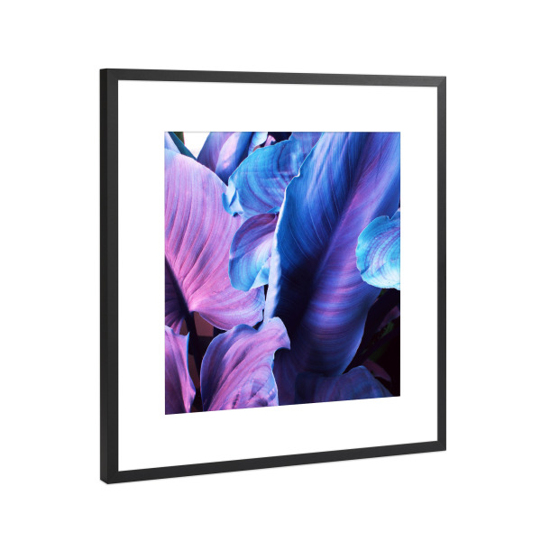 Poster mit Rahmen Schwarz (Metallic) "Leaves N.5" artboxONE - Natur,Floral