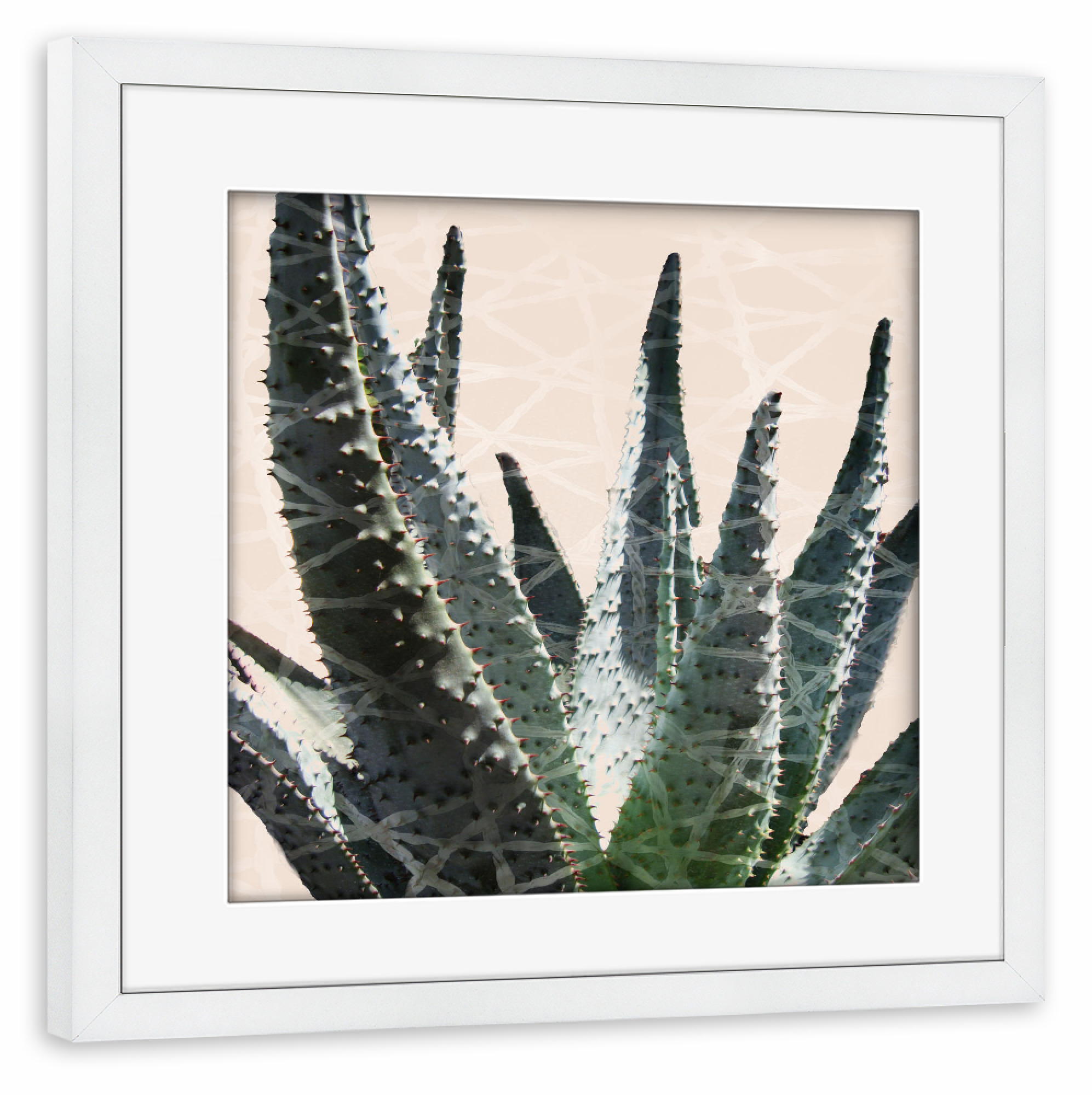 Poster mit Rahmen weiß "Cactus in the Grid" artboxONE - Natur,Abstrakt