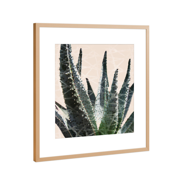 Poster mit Rahmen Kupfer "Cactus in the Grid" artboxONE - Natur,Abstrakt