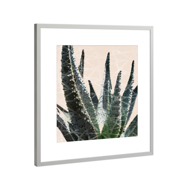 Poster mit Rahmen Silber "Cactus in the Grid" artboxONE - Natur,Abstrakt