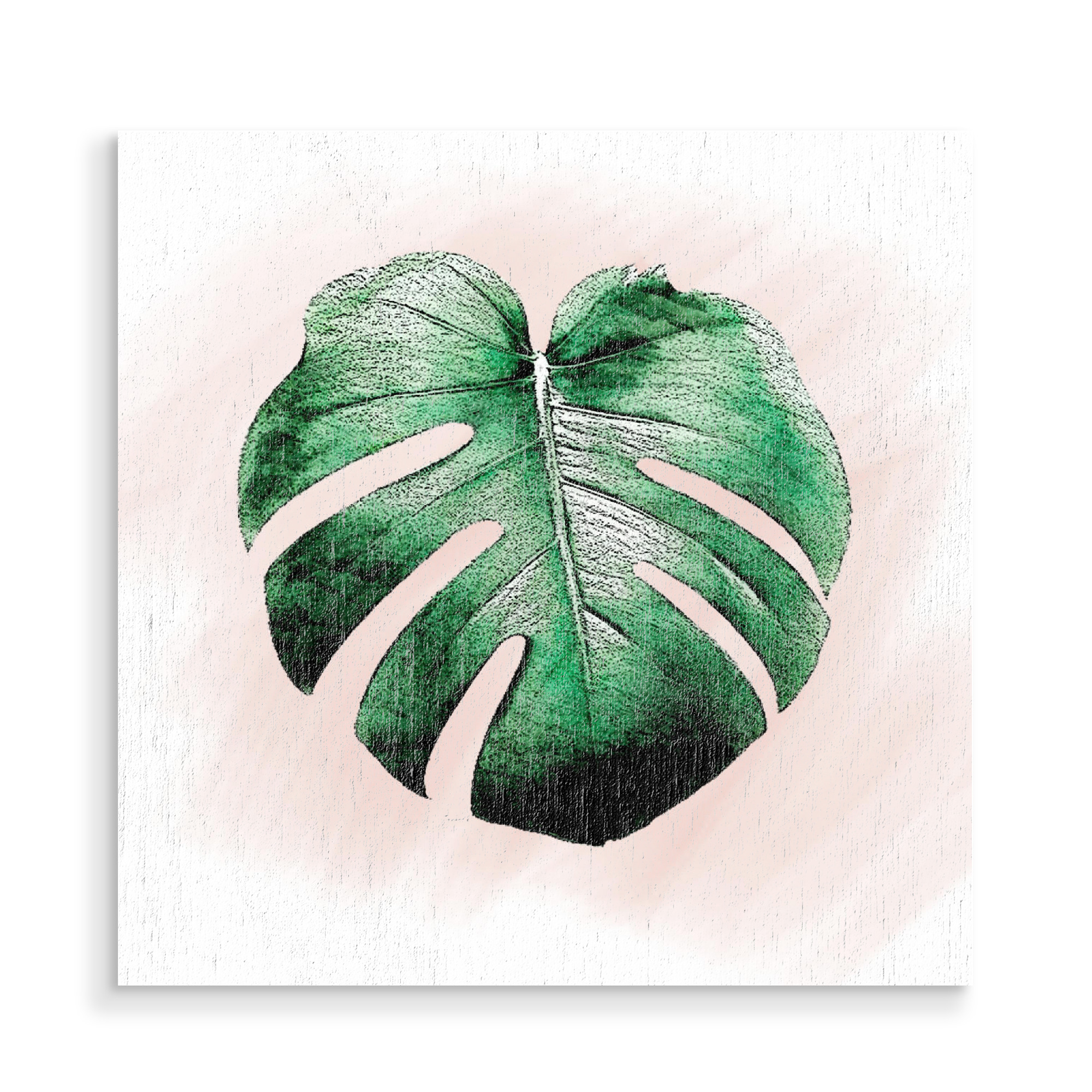 Holzbild "Monstera Leaf 2" artboxONE - Natur,Floral - Digital,Manipulation,Grün,Rosa,Weiß,Schwarzes,Photoshop,Monstera,Blatt,Natur