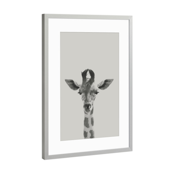 Poster mit Rahmen Silber "Giraffe 02" artboxONE - Natur,Reise,Tiere,Schwarzweiß,Reise / Afrika - Giraffe,Tier,Natur,Wald,Afrika,Savanne,Widtier