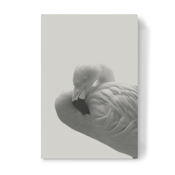 Leinwandbild "Flamingo 08" artboxONE - Natur,Tiere,Schwarzweiß - Flamingo,Vogel,Tier,Feder,Trendtier,Pink,Skandinavisch,Moderne kunst