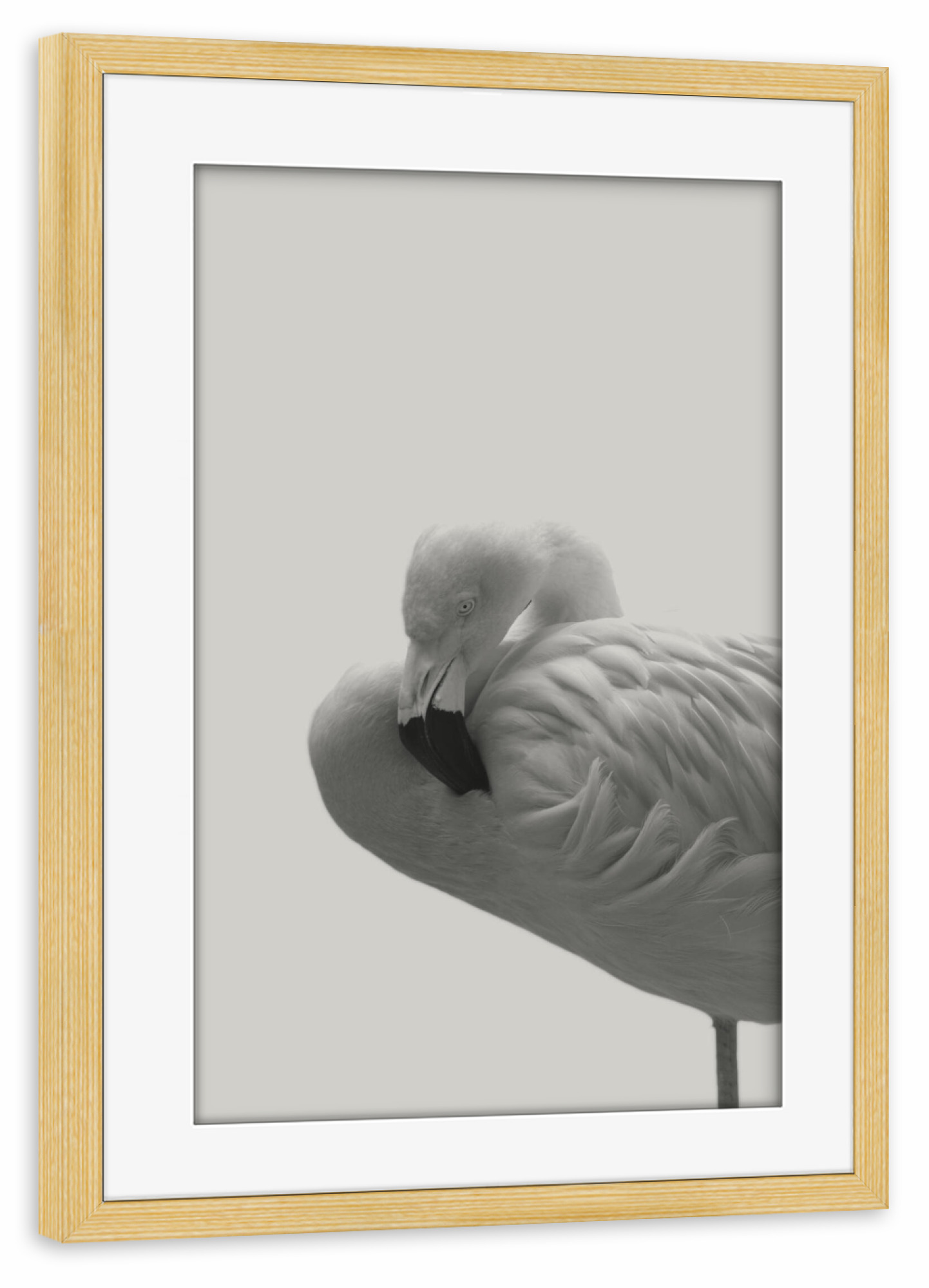 Poster mit Rahmen kiefer "Flamingo 08" artboxONE - Natur,Tiere,Schwarzweiß - Flamingo,Vogel,Tier,Feder,Trendtier,Pink,Skandinavisch,Moderne kunst