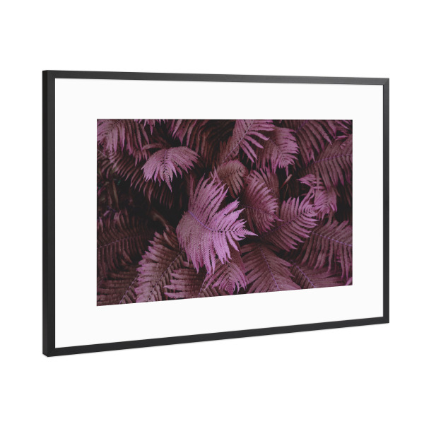 Poster mit Rahmen Schwarz (Metallic) "Farn 02" artboxONE - Natur,Floral,Abstrakt,Geometrie - Farn,Tropisch,Blätter,Wald,Palmen,Bäume,Blatt