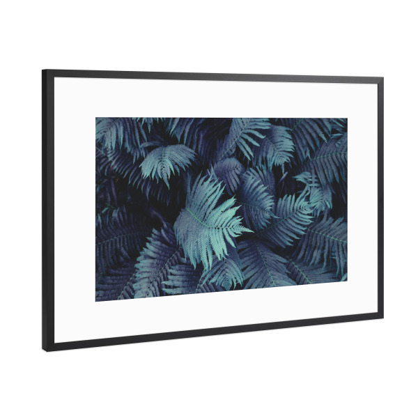Poster mit Rahmen Schwarz (Metallic) "Farn Blätter" artboxONE - Natur,Floral,Abstrakt,Geometrie - Farn,Blätter,Farn blätter