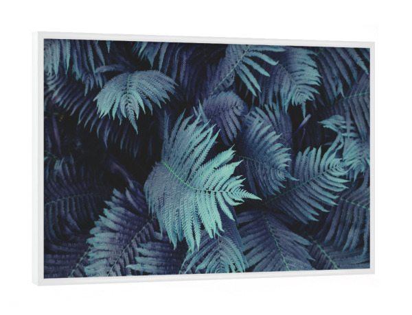 Poster mit weißem Rahmen "Farn Blätter" artboxONE - Natur,Floral,Abstrakt,Geometrie - Farn,Blätter,Farn blätter