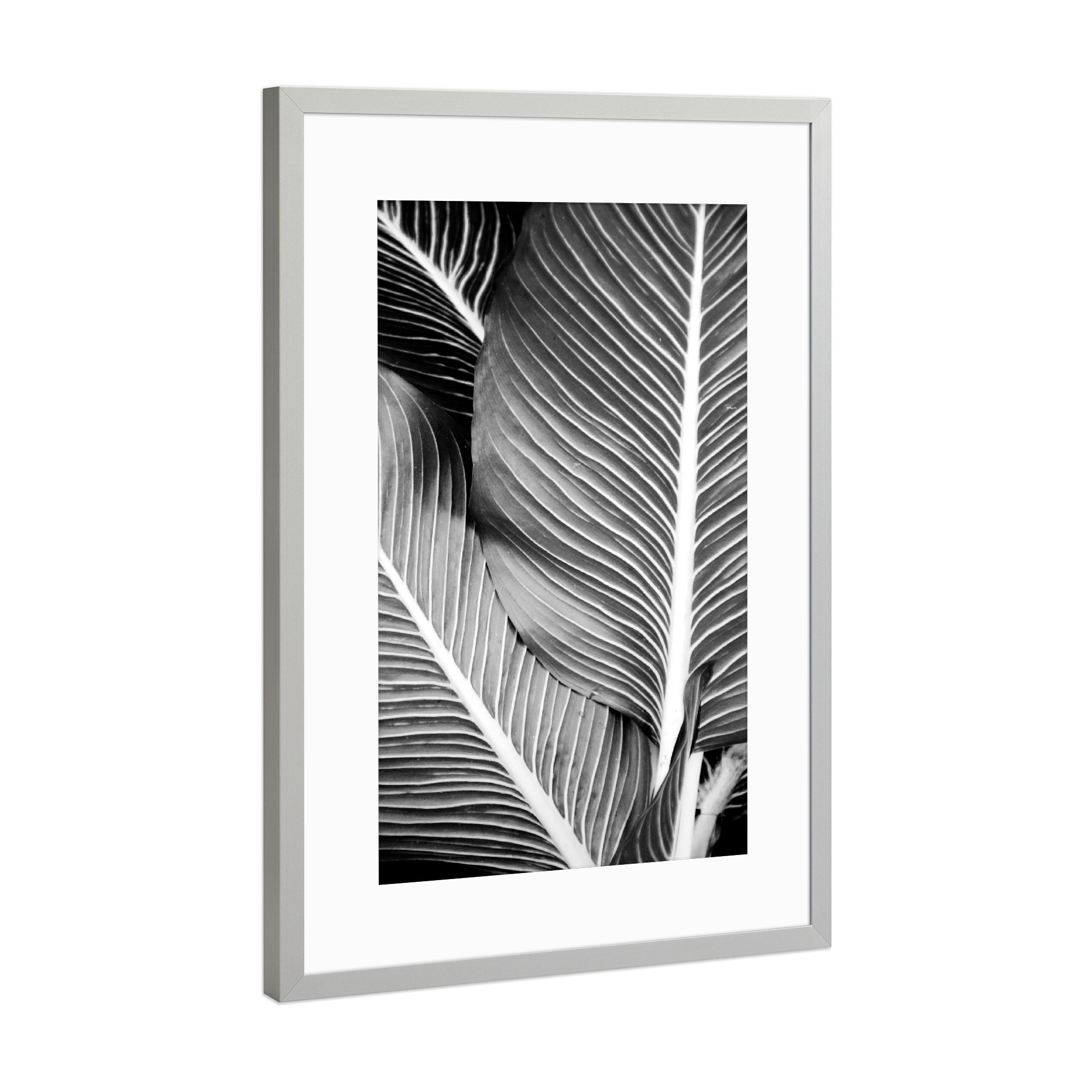 Poster mit Rahmen Silber "Tropical Leaves" artboxONE - Natur,Abstrakt,Schwarzweiß,Geometrie