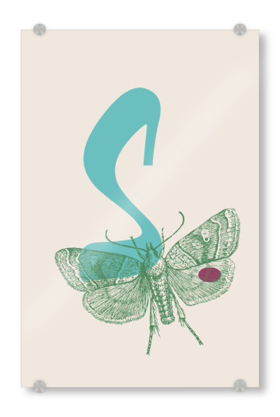 Acrylglasbild "S Schmetterling" artboxONE - Natur,Für Kinder,Tiere,Abstrakt - Schmetterling,Butterfly,Tier,Natur,Insekt,Alphabet,Buchstabe