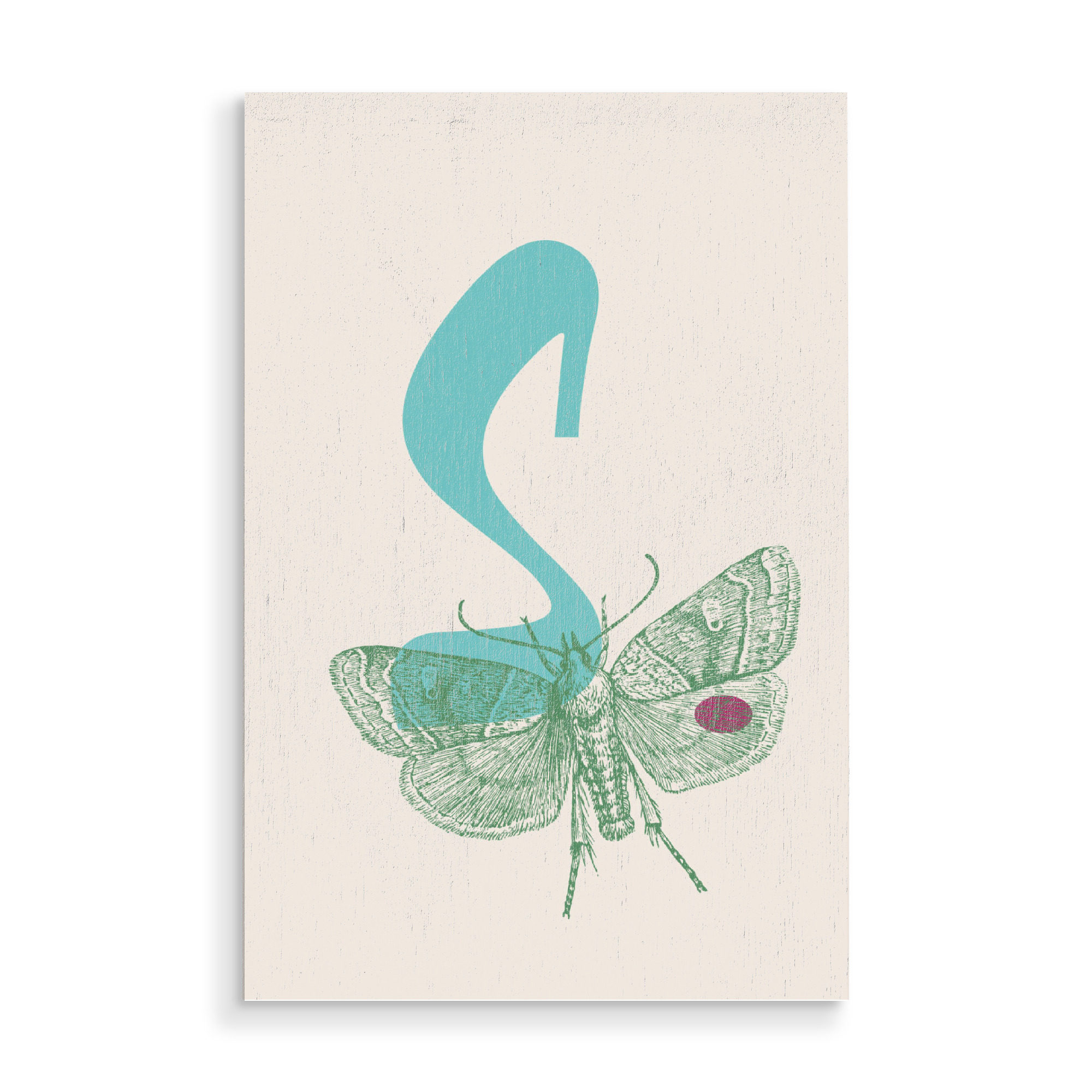 Holzbild "S Schmetterling" artboxONE - Natur,Für Kinder,Tiere,Abstrakt - Schmetterling,Butterfly,Tier,Natur,Insekt,Alphabet,Buchstabe