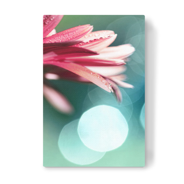 Leinwandbild "Natures Dreaming" artboxONE - Natur,Floral - Gerbera,Blume,Pflanze,Mit blumen,Minze,Rosa,Rosa