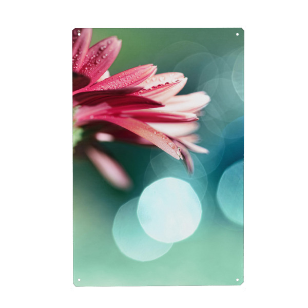 Holzbild "Natures Dreaming" artboxONE - Natur,Floral - Gerbera,Blume,Pflanze,Mit blumen,Minze,Rosa,Rosa