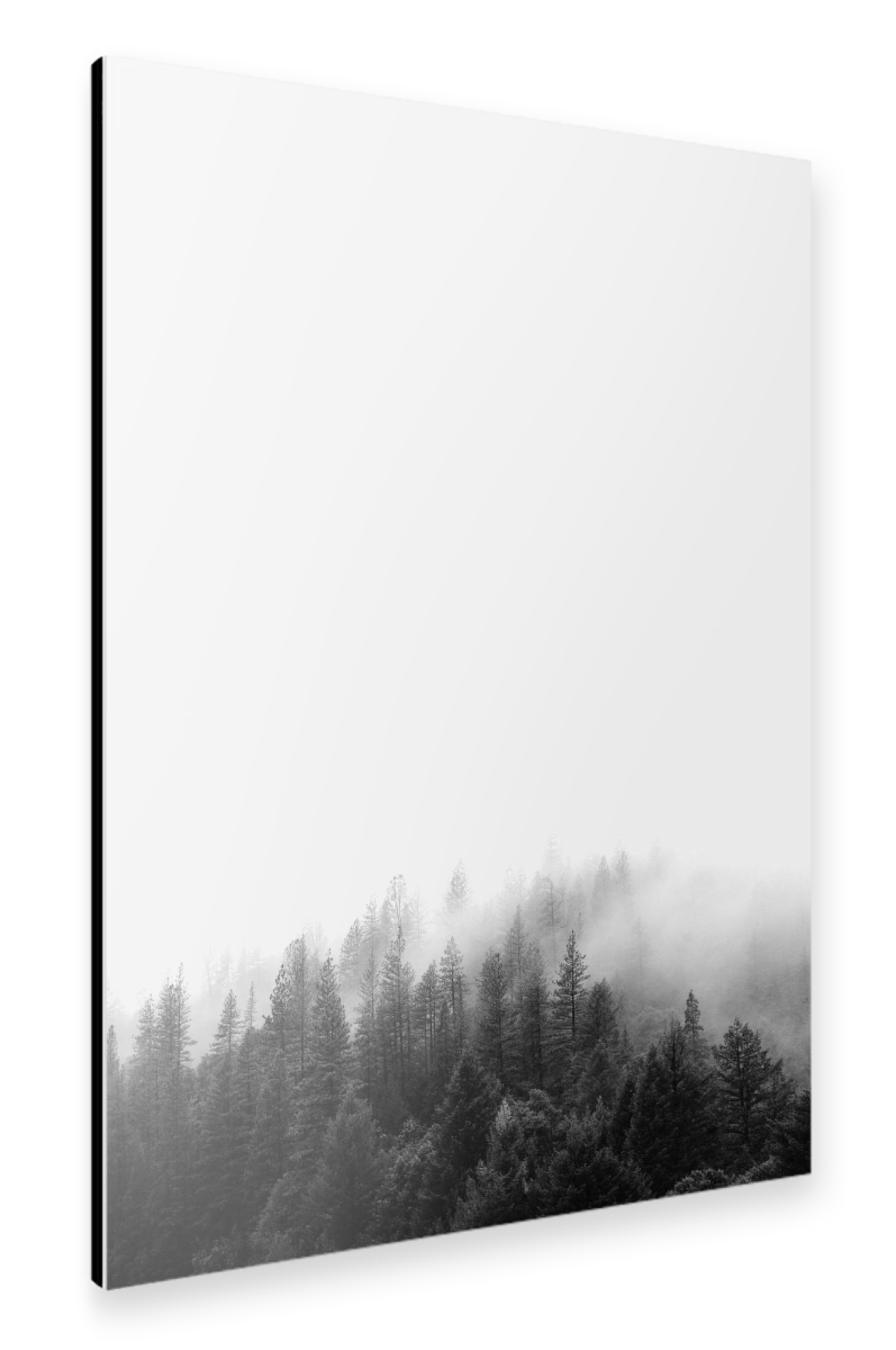 Alu-Dibond "Forest 2" 30x20 cm artboxONE