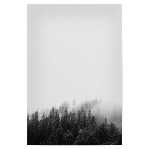 Forest 2