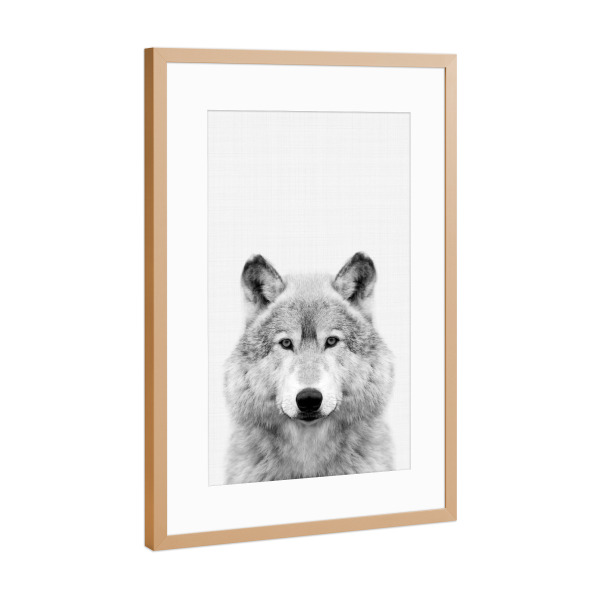 Poster mit Rahmen Kupfer "Wolf Portrait" artboxONE - Für Kinder,Tiere,Schwarzweiß - Wolf,Portrait,Blackwhite,Tier,Schwarzweiß