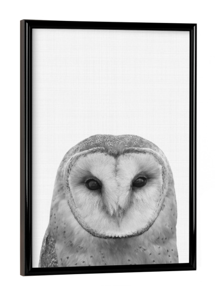 Poster mit schwarzem Rahmen "Owl II" artboxONE - Für Kinder,Tiere,Schwarzweiß